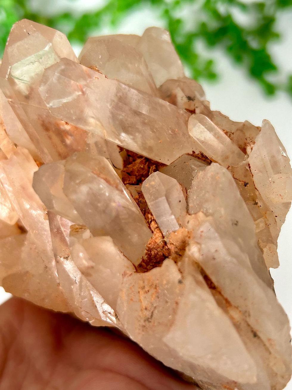 Thumbnail: Red Quartz Cluster