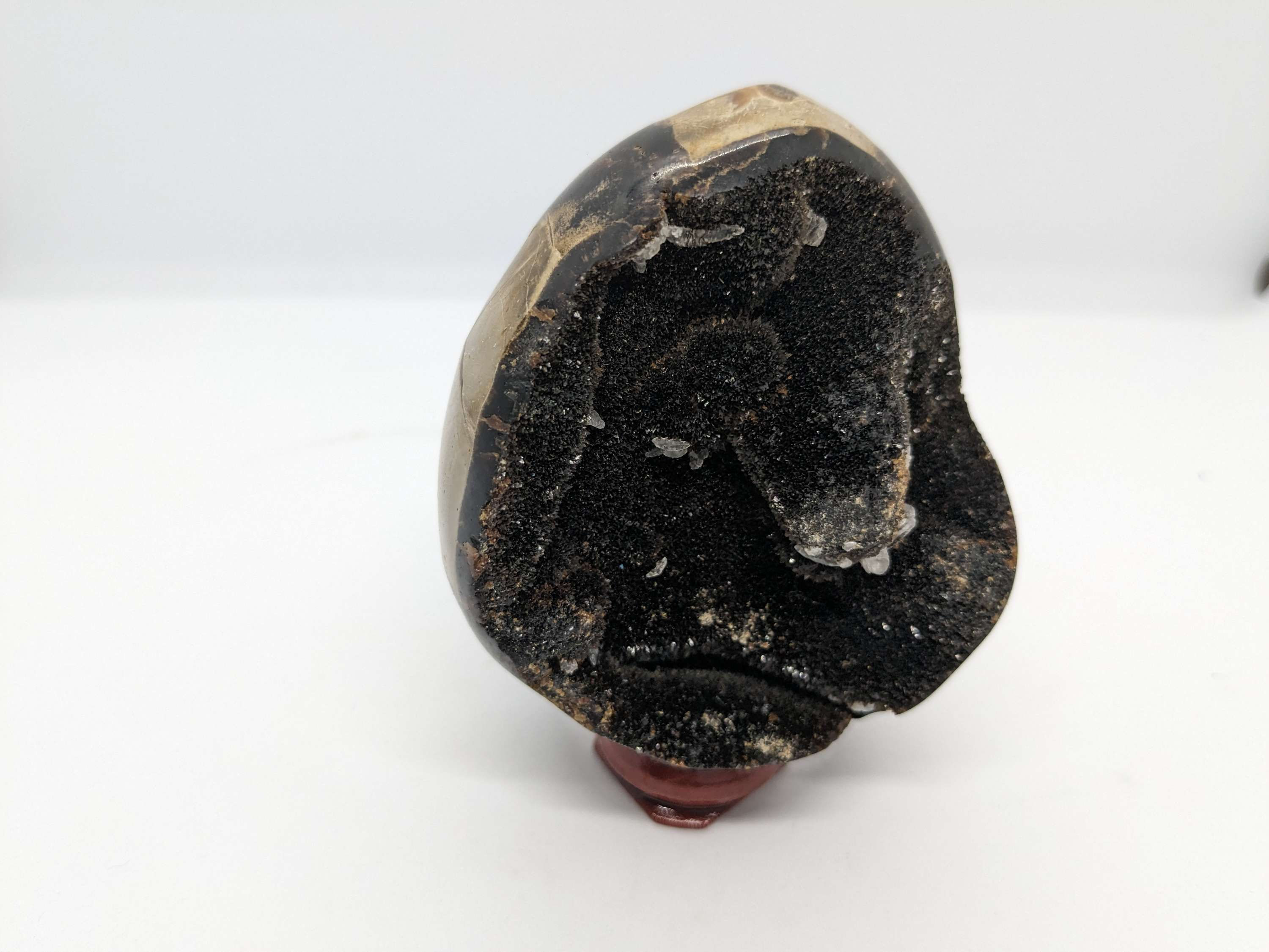 Septarian Druzy Egg