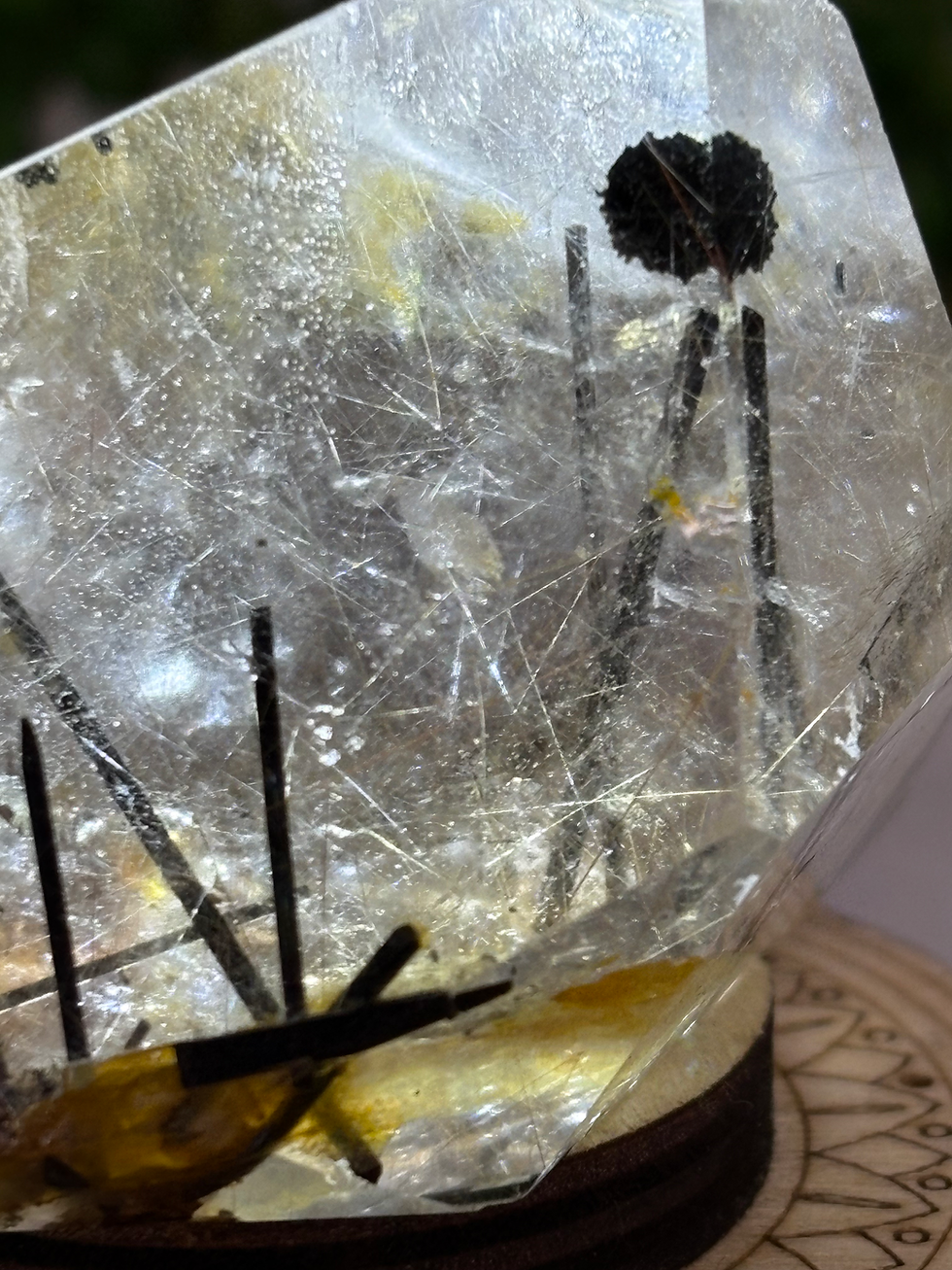 Thumbnail: Black Tourmaline in Quartz Freeform