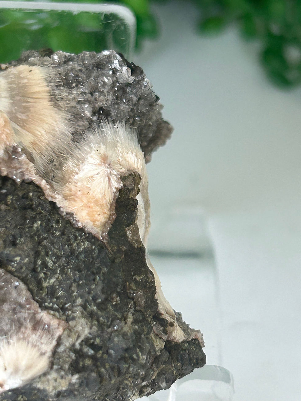 Thumbnail: Thomsonite Specimen
