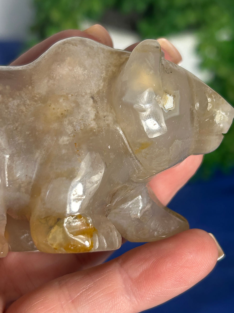 Thumbnail: Flower Agate Bear