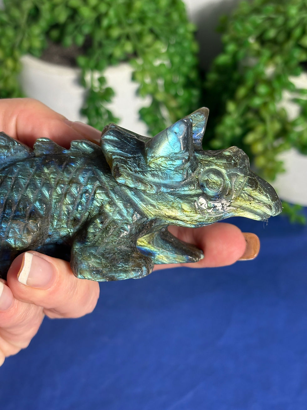 Thumbnail: Labradorite Triceratops