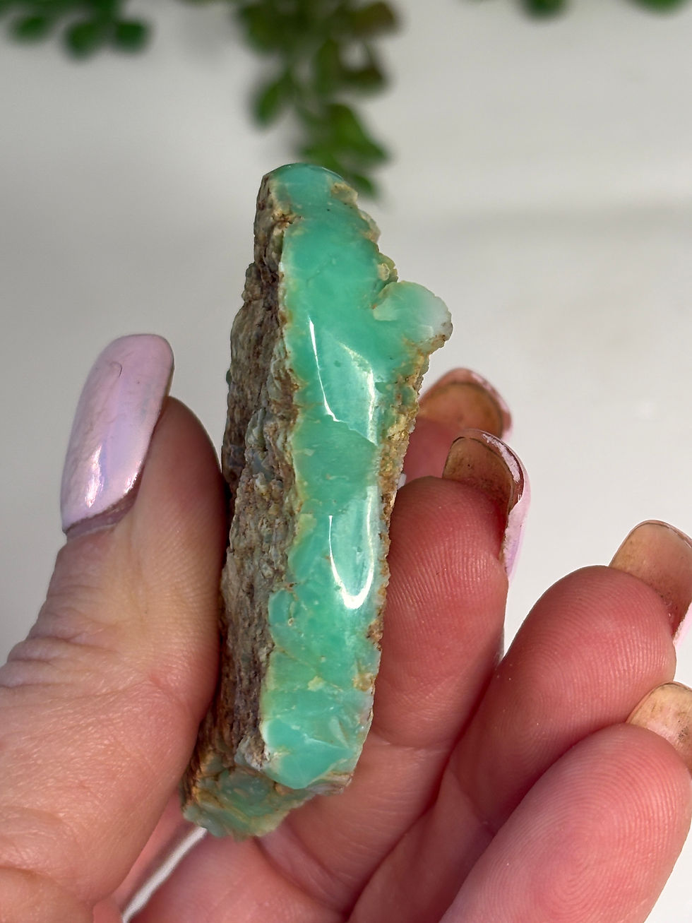 Thumbnail: Polished Edge Chrysoprase - Marlborough QLD