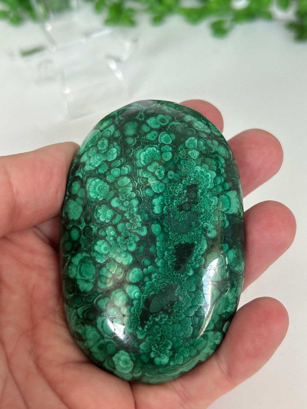Thumbnail: Malachite Palm Stone