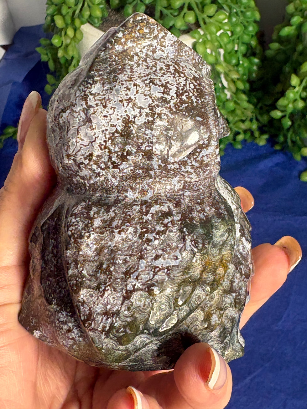 Thumbnail: Ocean Jasper Owl