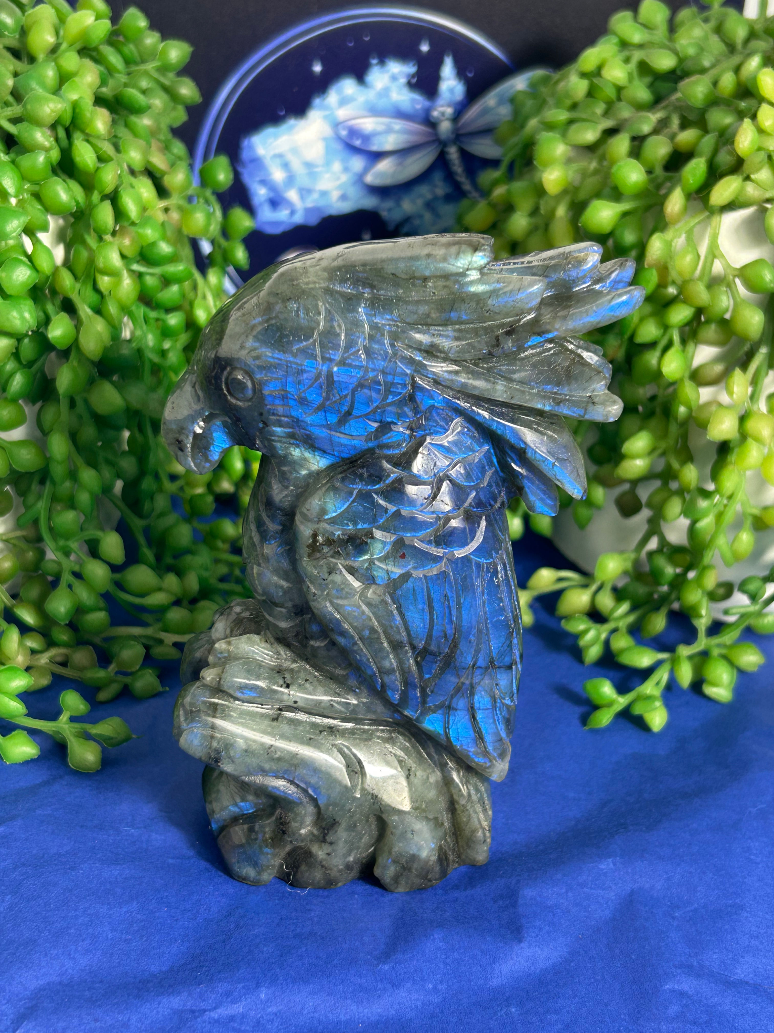 Labradorite Cockatoo