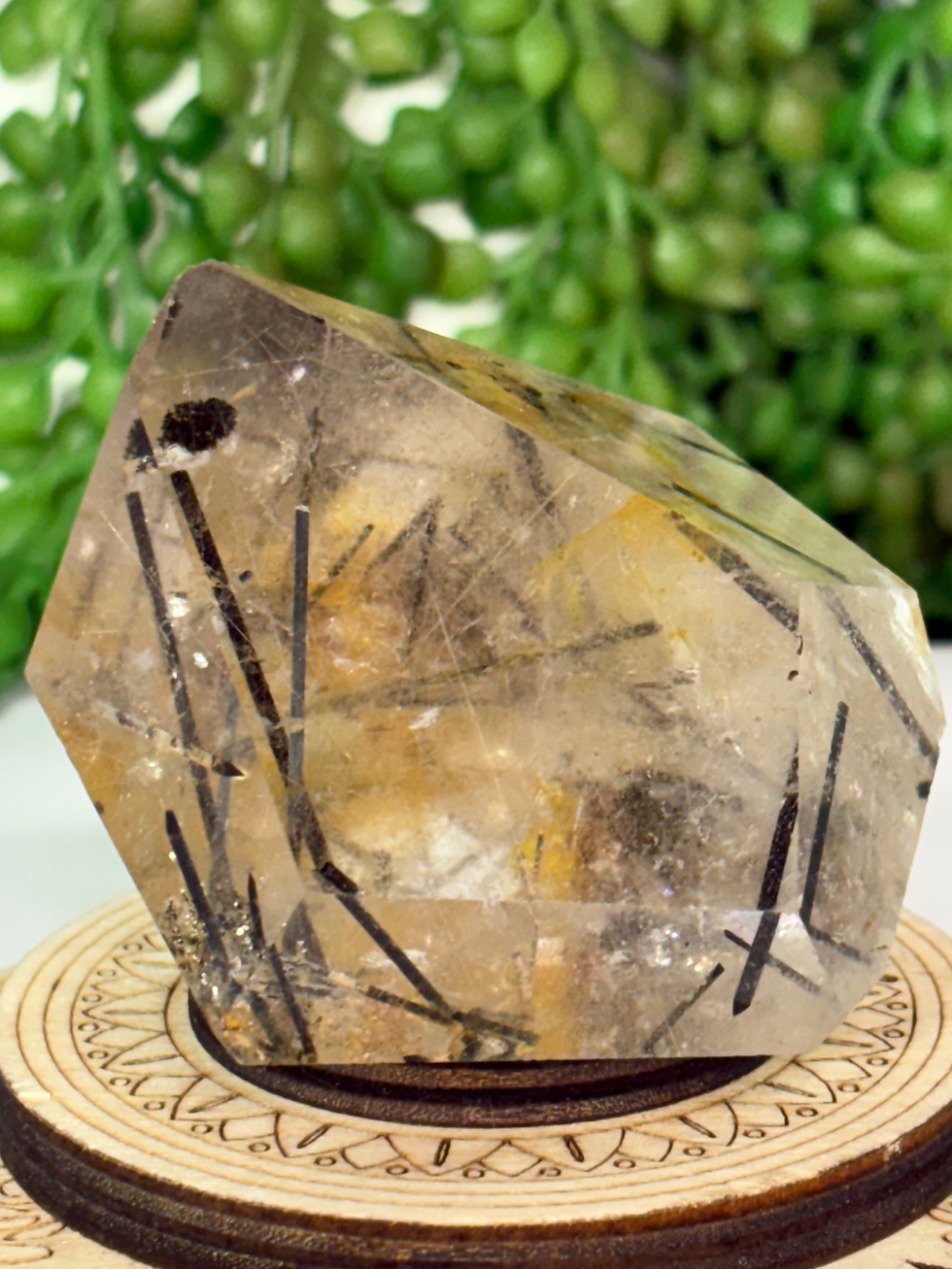 Thumbnail: Black Tourmaline in Quartz Freeform