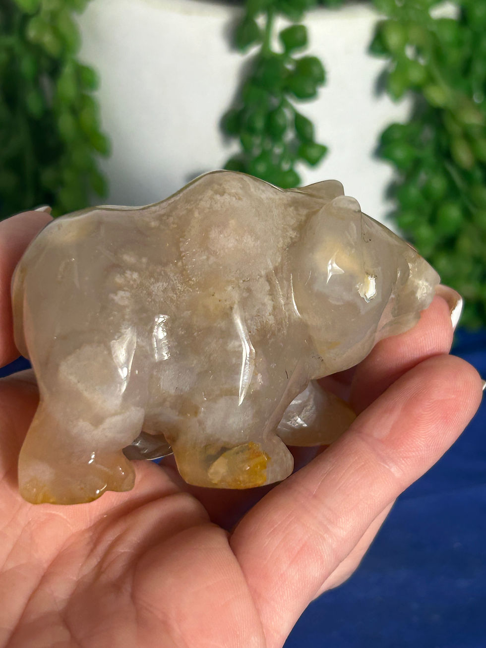 Thumbnail: Flower Agate Bear