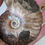 Thumbnail: Ammonite Pair