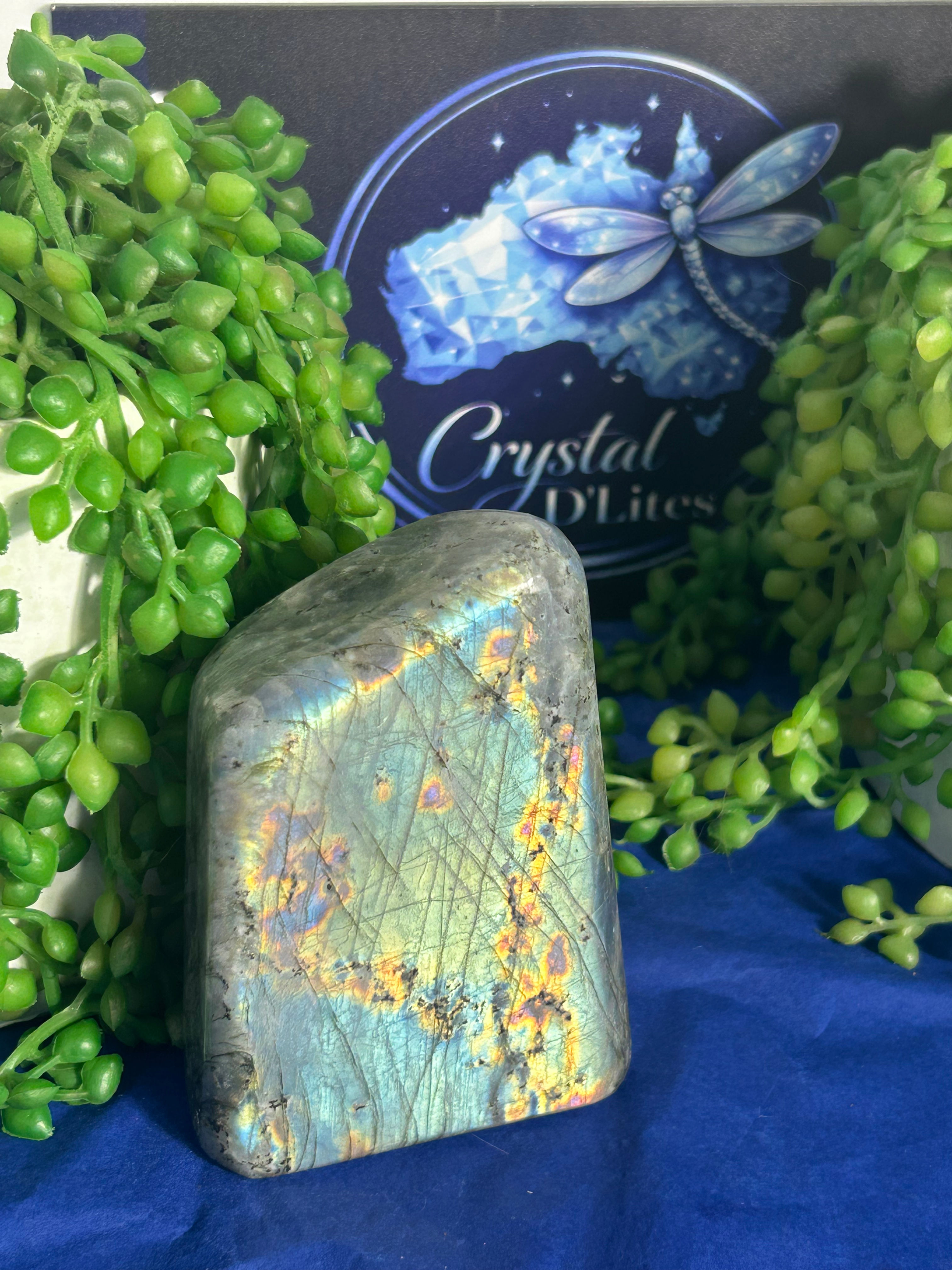 Labradorite Freeform 