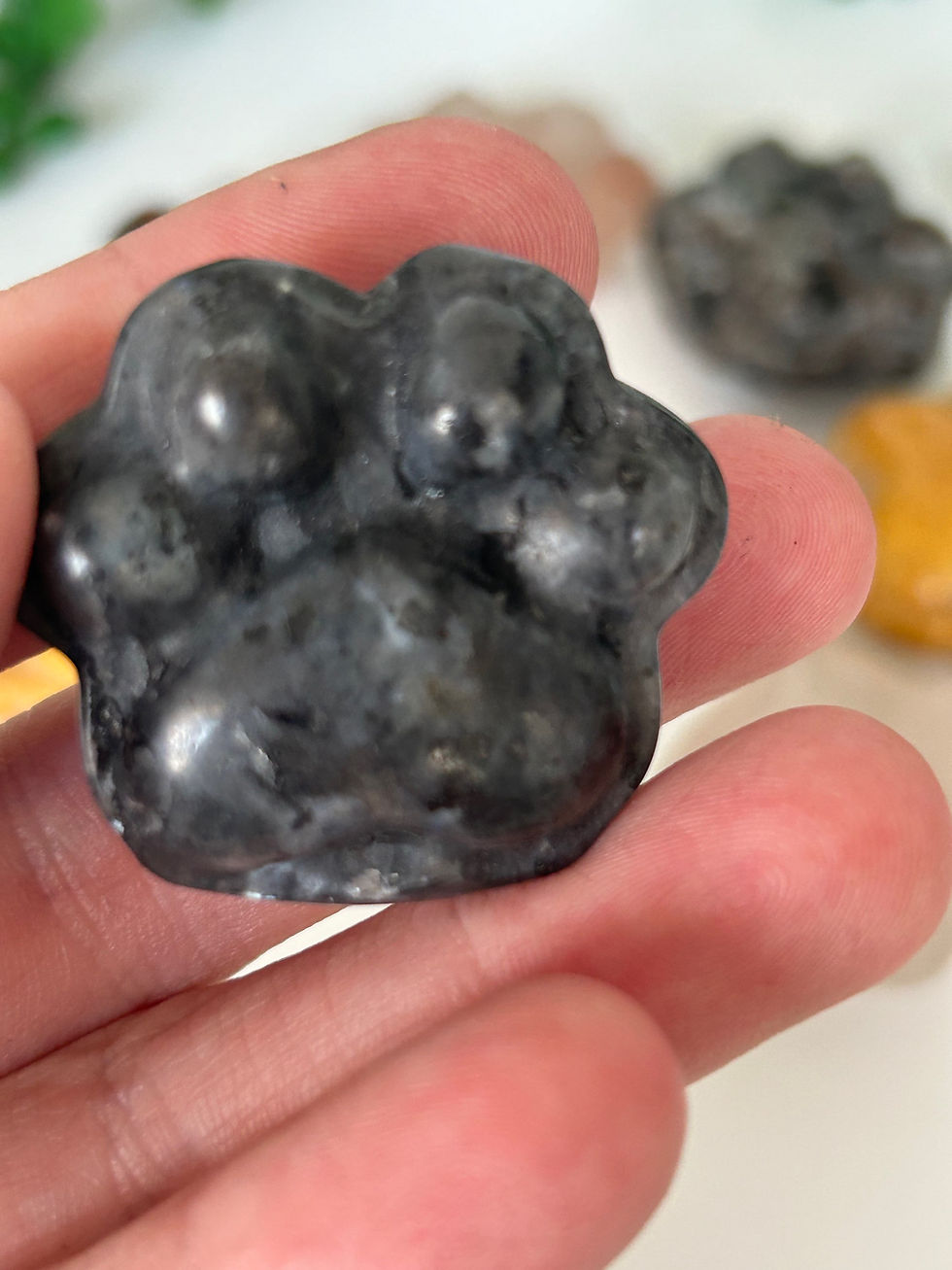 Thumbnail: Crystal Paw Prints