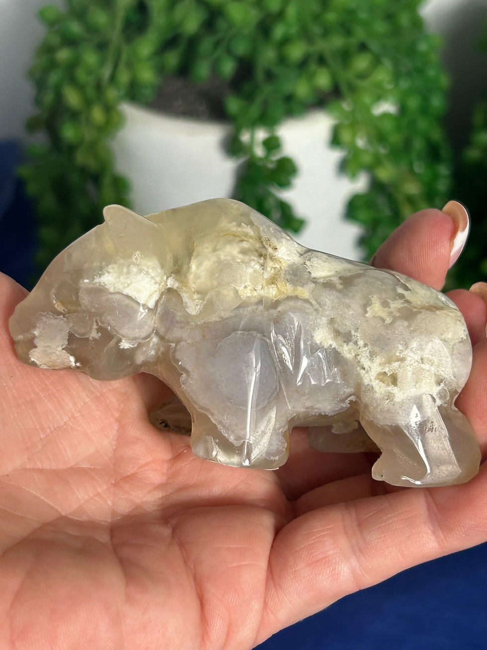 Thumbnail: Flower Agate Bear