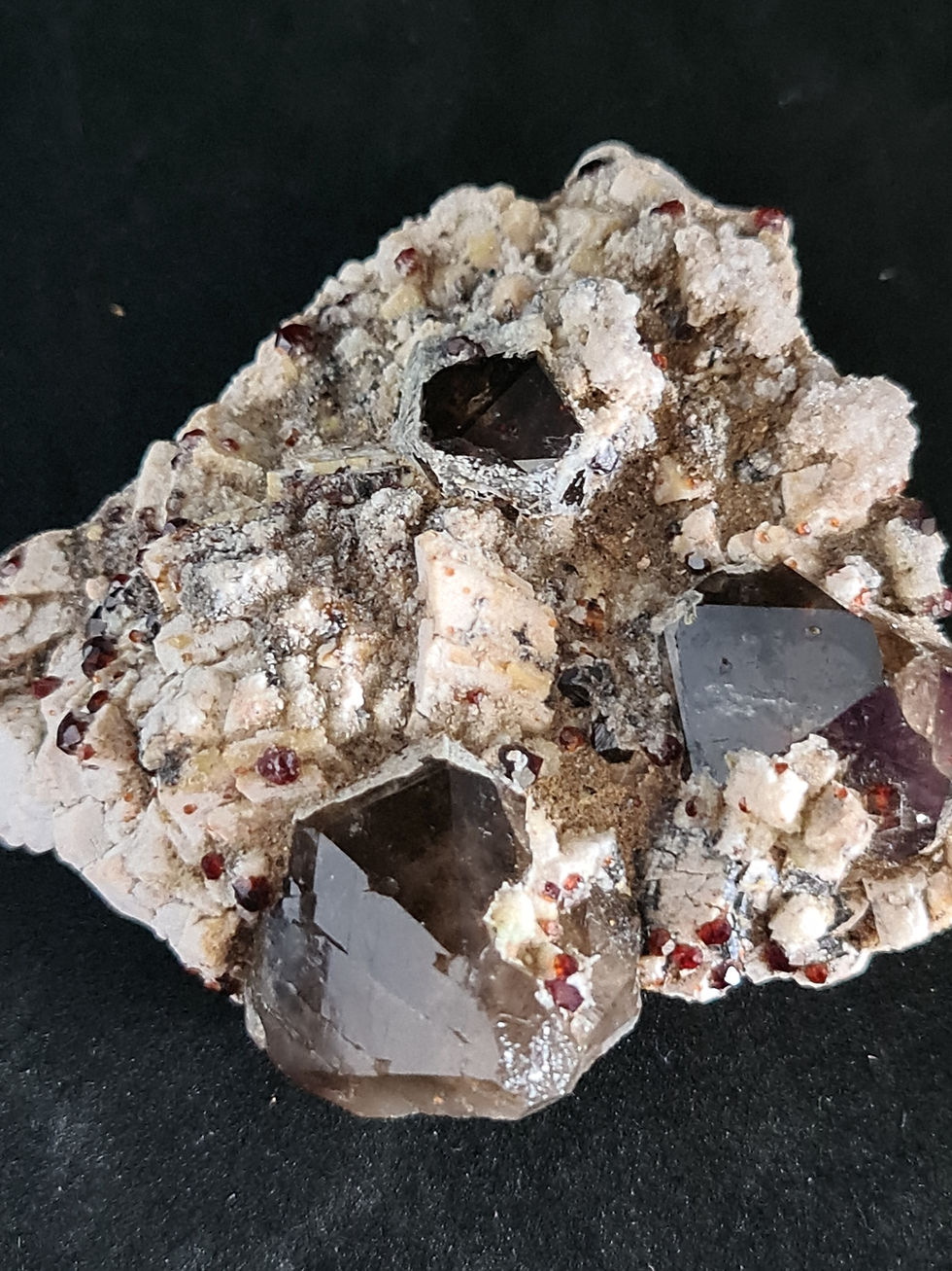 Thumbnail: Smoky Quartz with Garnet Specimen