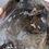 Thumbnail: Smoky Quartz Enhydro