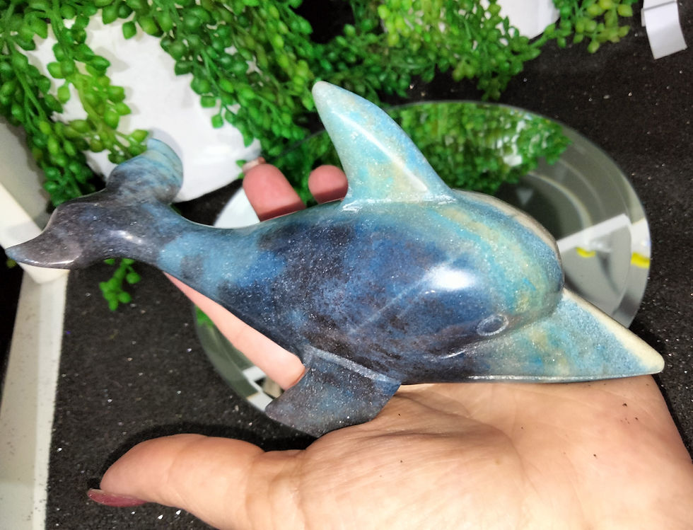 Thumbnail: Trolleite Dolphin