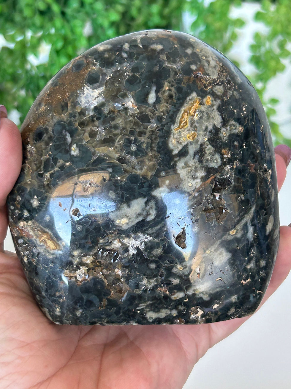 Thumbnail: Ocean Jasper Freeform