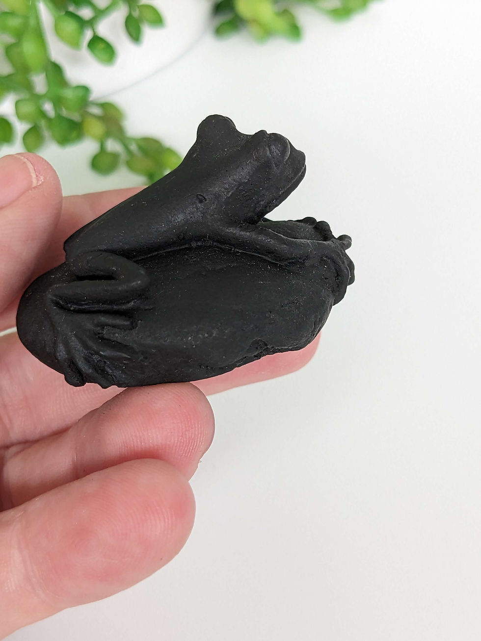 Thumbnail: Shungite frog 