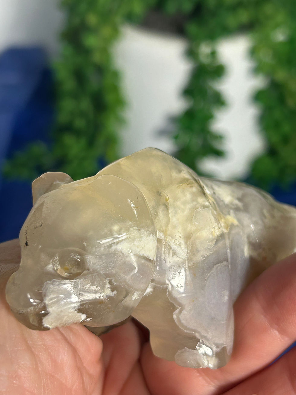 Thumbnail: Flower Agate Bear