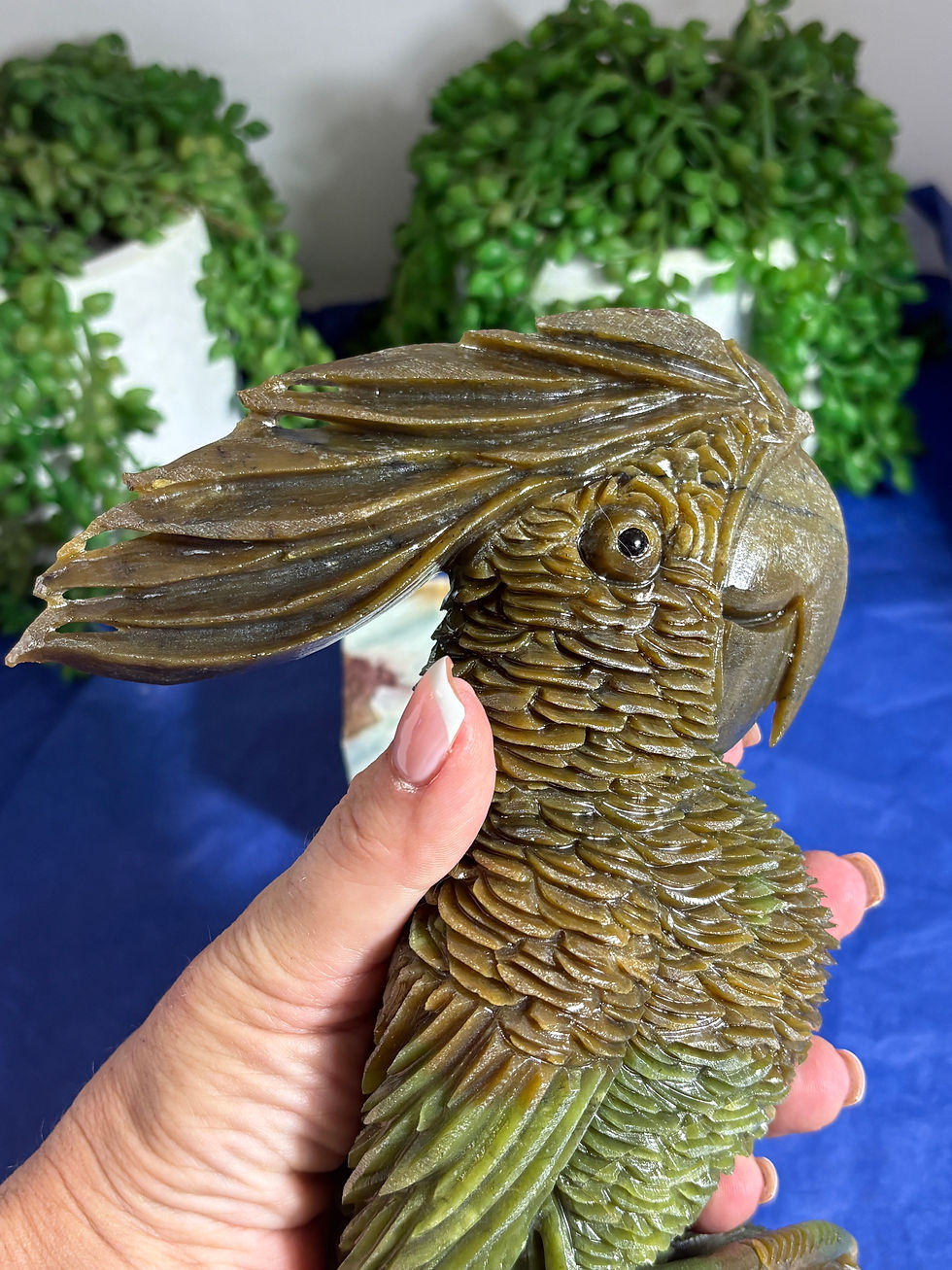 Thumbnail: Green Jade Cockatoo