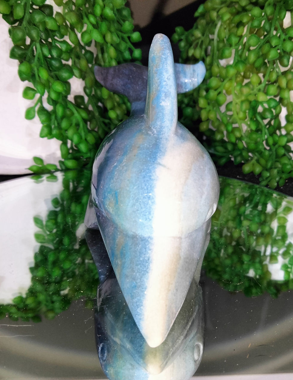 Thumbnail: Trolleite Dolphin