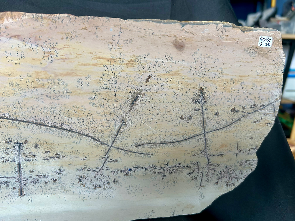 Thumbnail: Dendritic Picture Jasper Slab