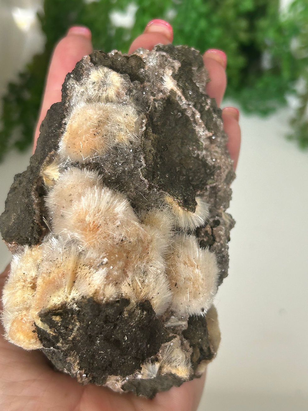 Thumbnail: Thomsonite Specimen