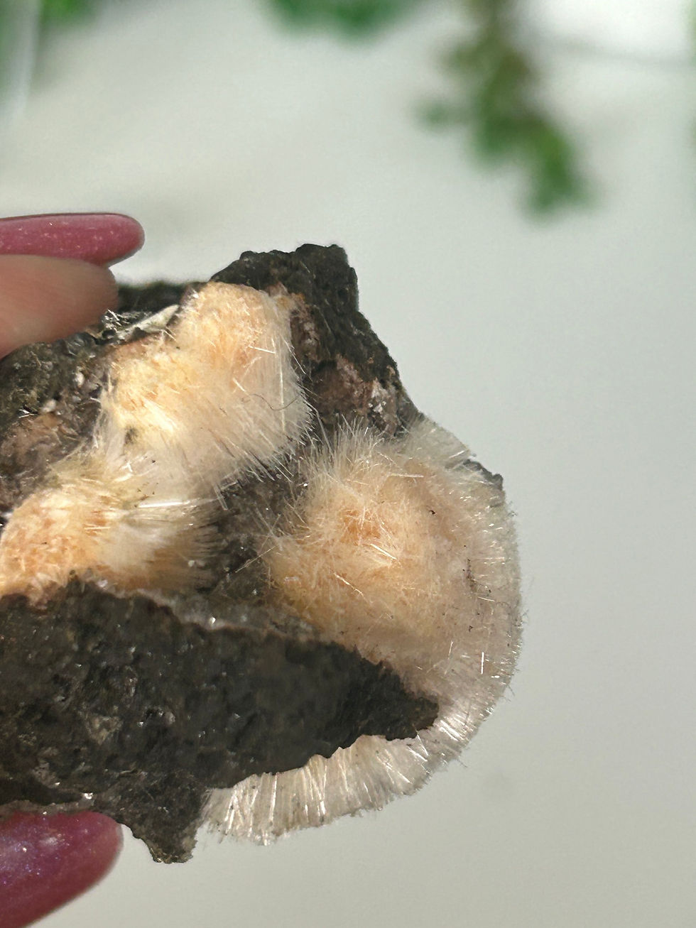 Thumbnail: Thomsonite Specimen