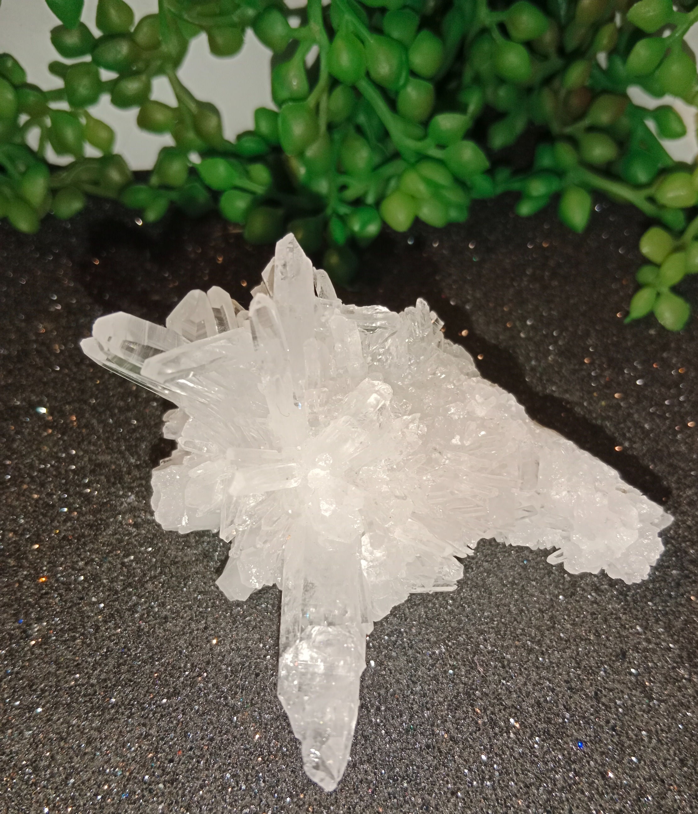 Clear Quartz Cluster
