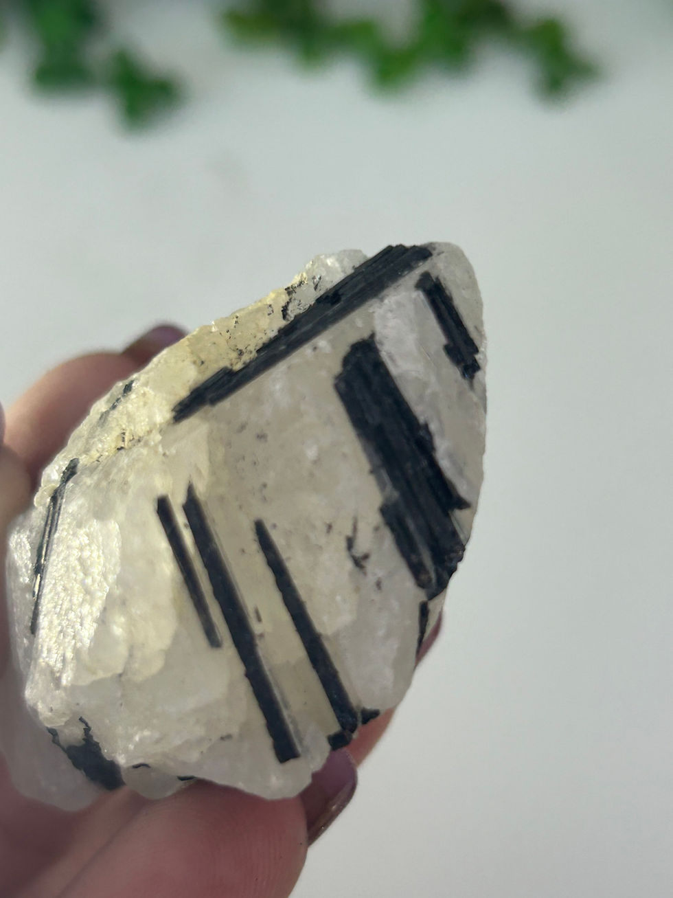 Thumbnail: Raw Black Tourmaline in Quartz