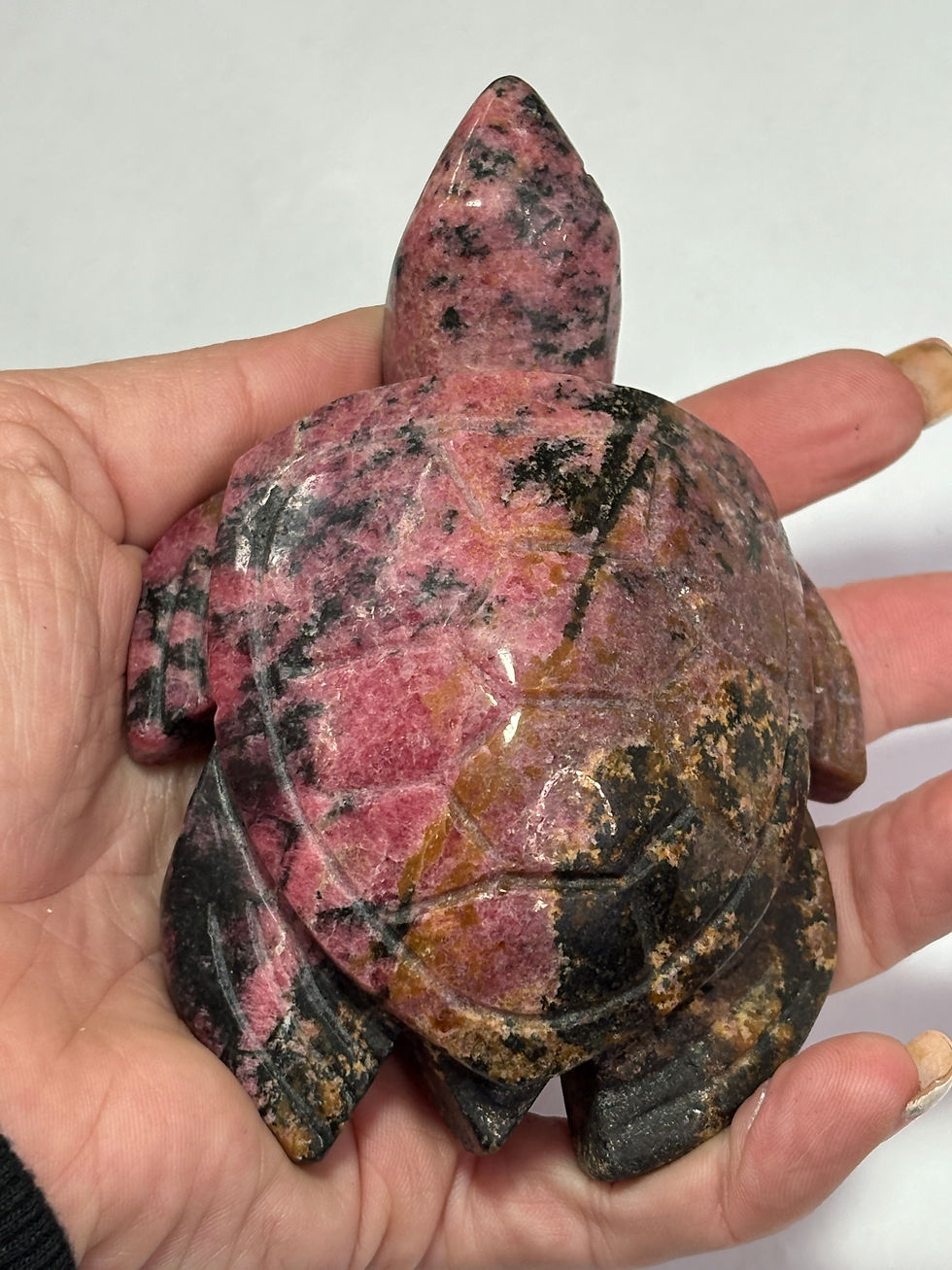 Thumbnail: Rhodonite Turtle Carving