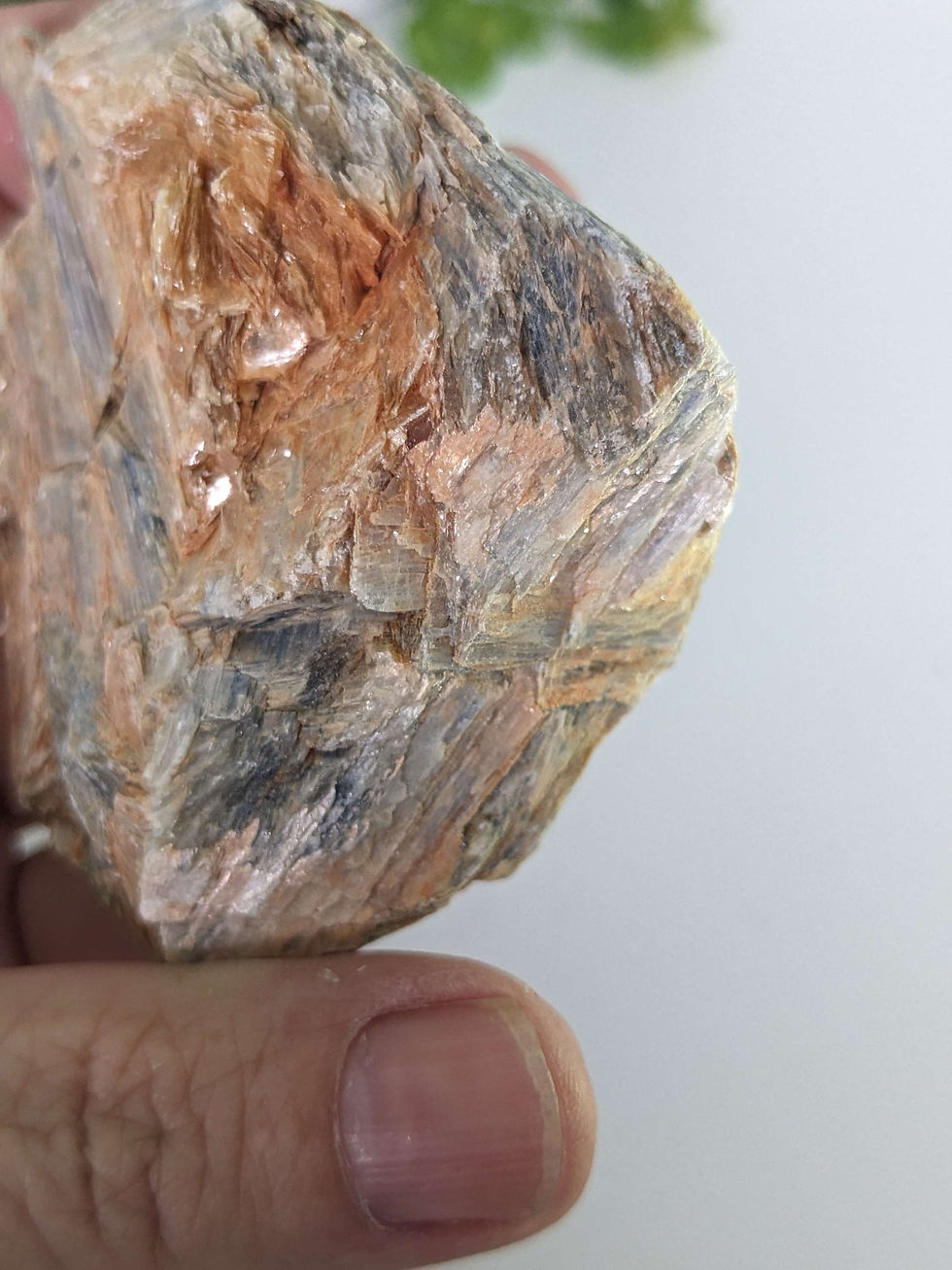 Thumbnail: Raw Blue Kyanite in Mica Freeform