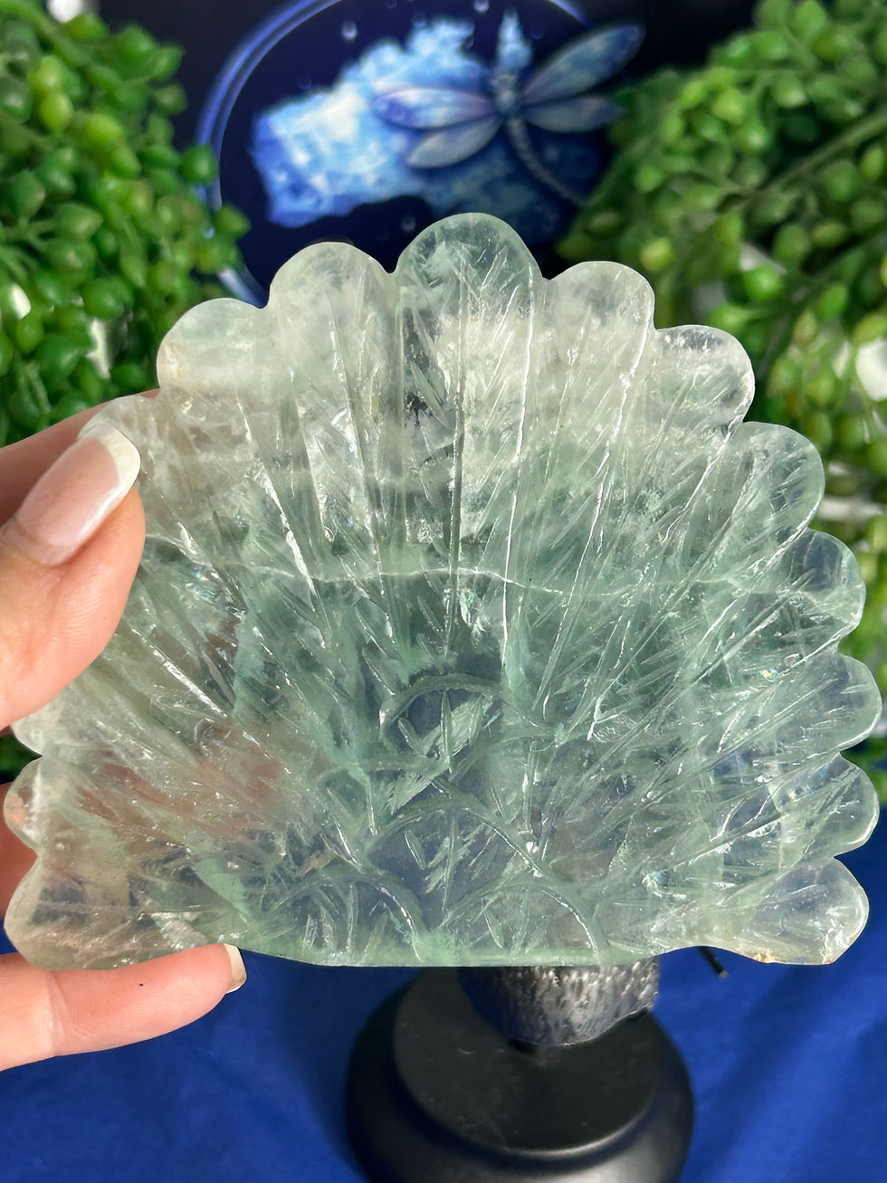 Thumbnail: Fluorite Peacock