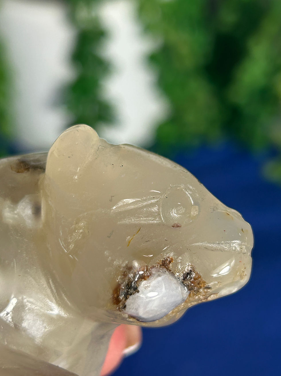 Thumbnail: Flower Agate Bear