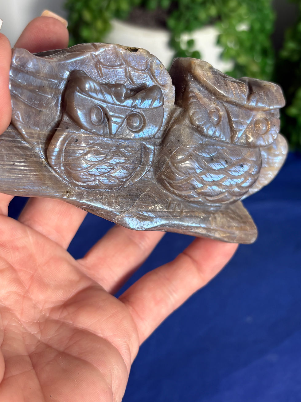 Thumbnail: Moonstone Owl