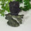 Thumbnail: Black Obsidian Owl on Jade Branch Carving