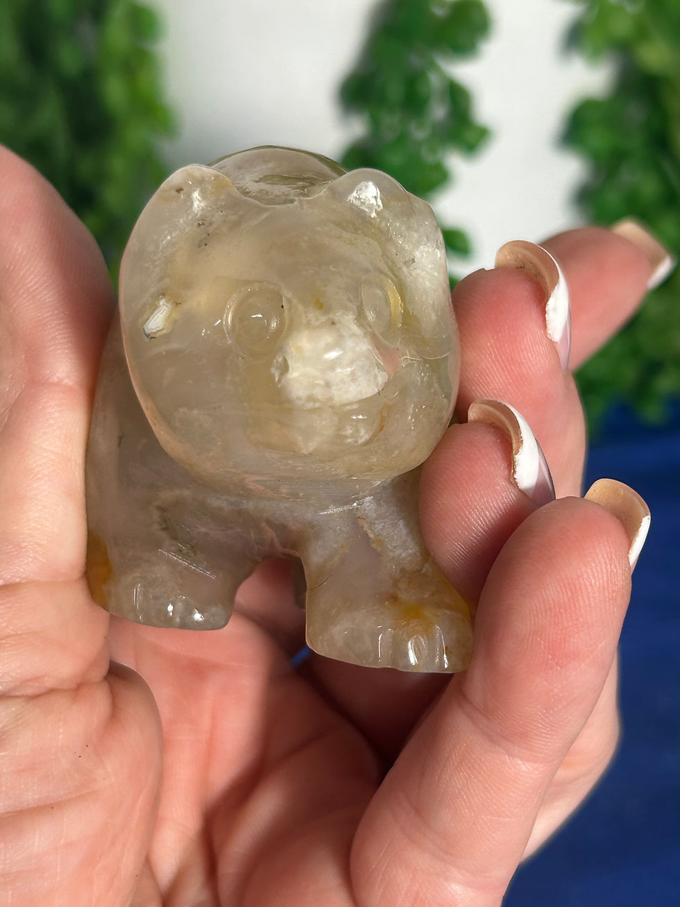 Thumbnail: Flower Agate Bear