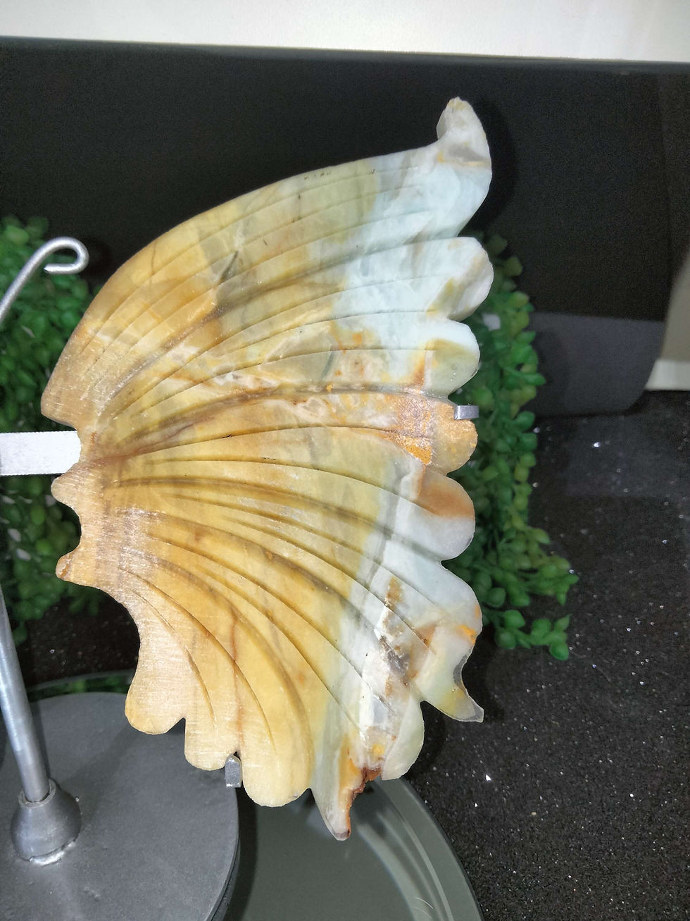 Thumbnail: Caribbean Calcite Butterfly Wings