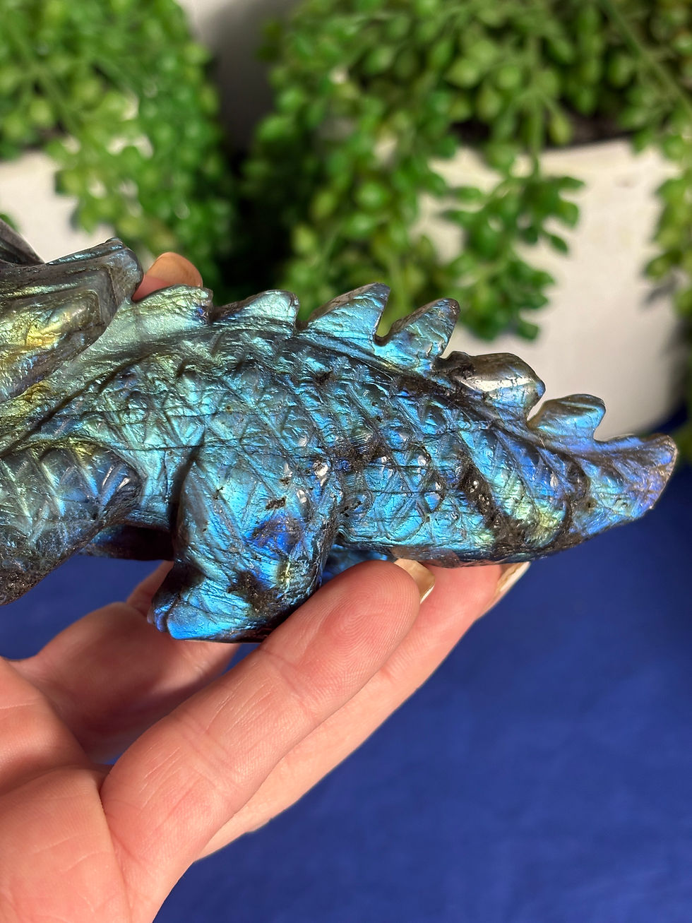 Thumbnail: Labradorite Triceratops