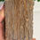 Thumbnail: Petrified Wood - Chinchilla QLD