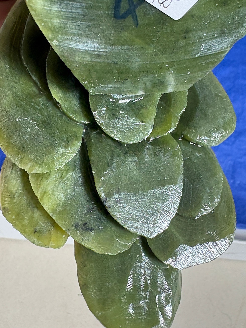 Thumbnail: Green Jade Cockatoo