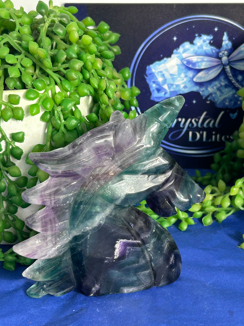 Thumbnail: Fluorite Unicorn 