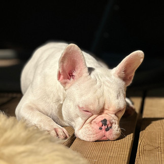 Sleepy