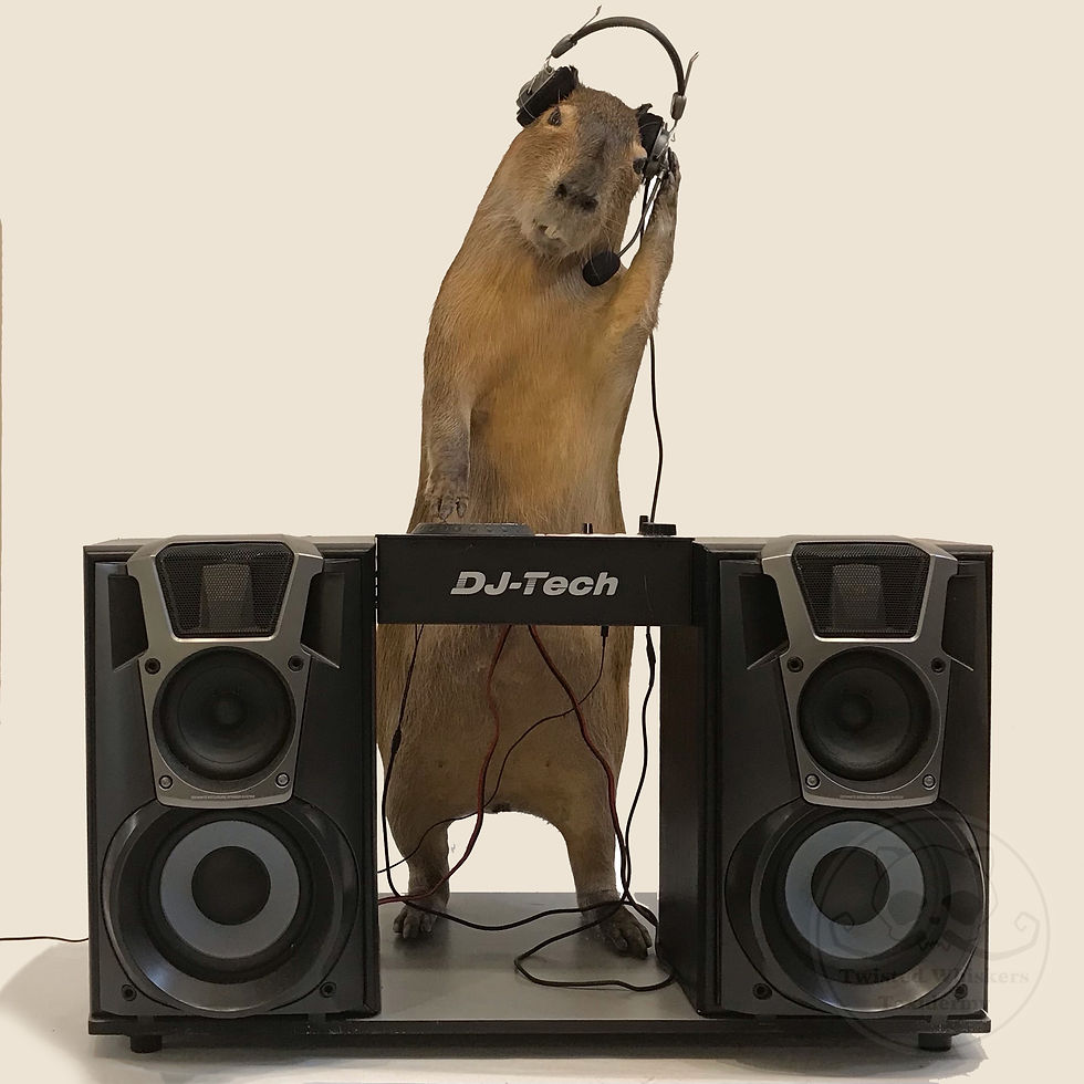 DJ Capybara