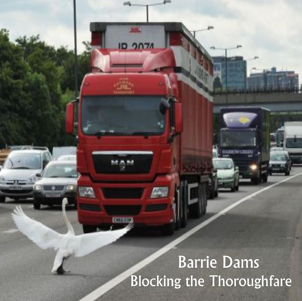 Barrie Dams