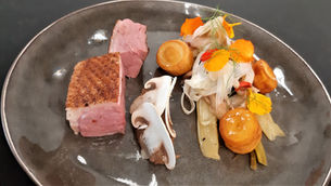 Workshop Neue Kochtechniken – Entwicklungen des Kochens