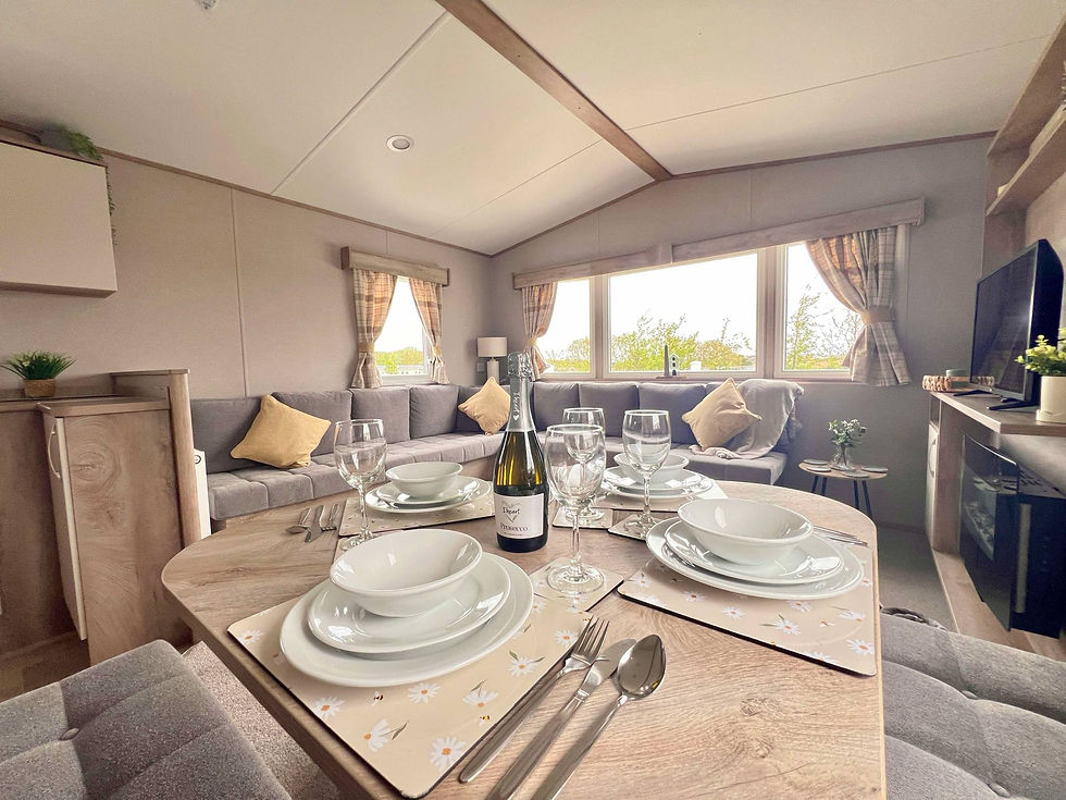 Living / Dining Area