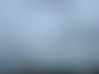 一日中雨ですね・・・