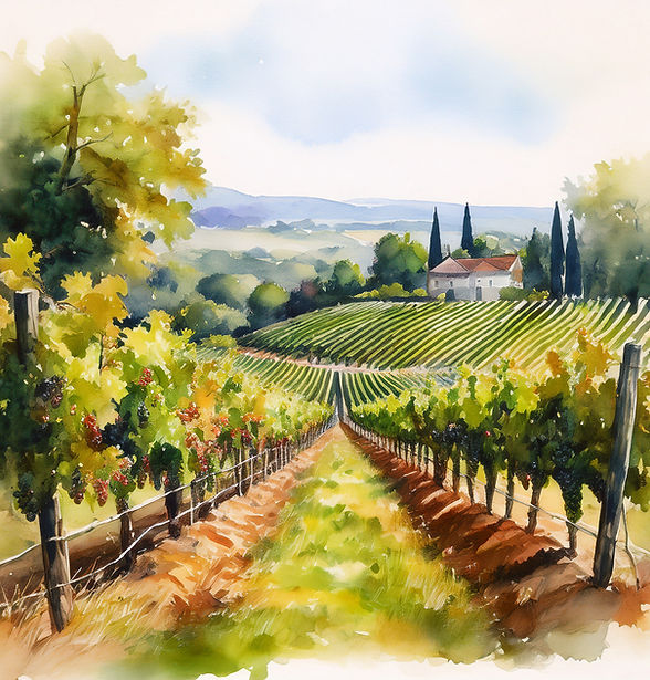 Vineyard 1.jpg