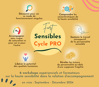 Cycle Fort Sensible Pro