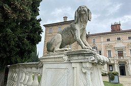 IMG_E0451 (Media).JPG